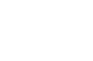 ms_cert_professional_logo_wht_rgb